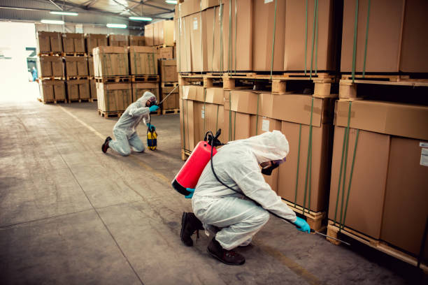 Pest Control Cost in Alice, TX