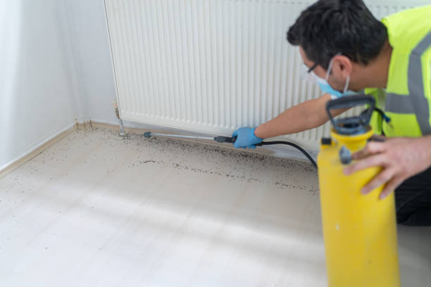 Best Commercial Pest Control Services  in Alice, TX